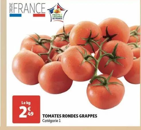 tomates rondes grappes