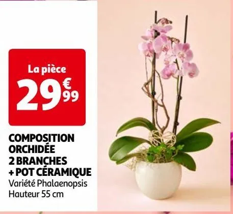composition orchidée 2 branches + pot céramique