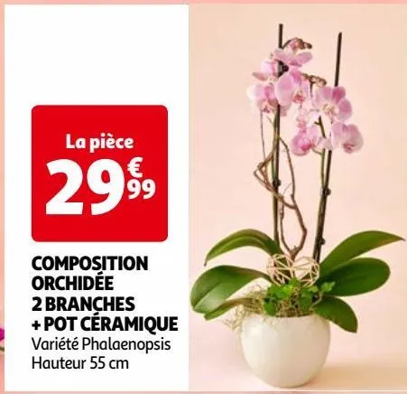 composition orchidée 2 branches + pot céramique
