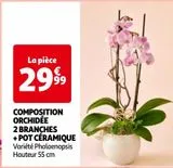 COMPOSITION ORCHIDÉE 2 BRANCHES + POT CÉRAMIQUE offre à 29,99€ sur Auchan