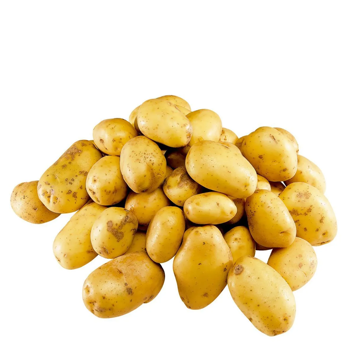 pommes de terre primeur filière auchan "cultivons le bon"