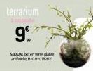 terrarium  9⁰%  SEDUM, poten  HIDom 182021 