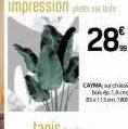 28€  CAYMA bos 85x113180034 