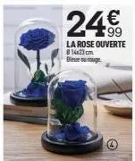 24€  la rose ouverte @14x23 cm bleue ou rouge 