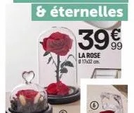 39€  la rose  @ 17x32 cm.  o 