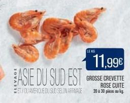 ASIE DU SUD EST  ET/OU AMERIQUE DU SUD SELON ARRMAGE  LE KG  11,99€  GROSSE CREVETTE ROSE CUITE 20 à 30 pièces au kg. 