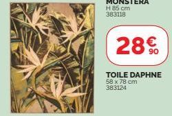 28%  TOILE DAPHNE 58 x 78 cm 383124 