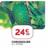 24€  COROSSOLIER 4 L 377929 
