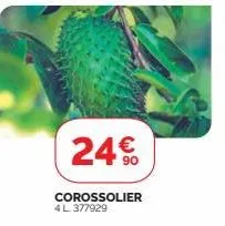 24€  corossolier 4 l 377929 