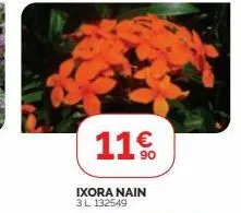 11%  ixora nain 3l 132549 