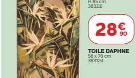 28€  TOILE DAPHNE 58 x 78 cm 383124 