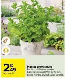 €  249  le pot de 1l  plantes aromatiques pot de 1l différentes variétés existe aussi en coriandre, persil plat,  basilic, menthe, thym et autres variétés 