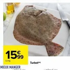 turbot 