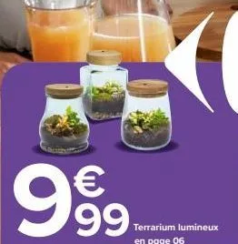 999  €  terrarium lumineux en page 06 