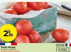 Lekg  Tomate allongée Categorie 1, calibre 47+ Au rayon Fruits & légumes  ORIGINE  FRANCE 