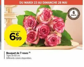 roses 3m