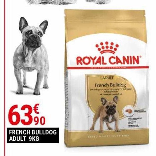 French bulldog adult 9KG