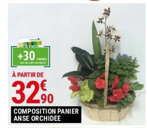 composition panier anse orchidee