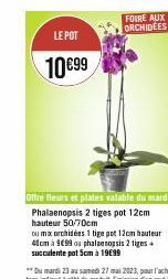 LE POT  10€99  FOIRE AUX ORCHIDEES  Phalaenopsis 2 tiges pot 12cm hauteur 50/70cm  ou mix orchidées 1 tige pot 12cm hauteur 41cm à 999 ou phalaenopsis 2 tiges succulente pot 5cm à 19€99 