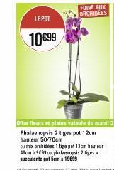 LE POT  10€99  FOIRE AUX ORCHIDEES  Phalaenopsis 2 tiges pot 12cm hauteur 50/70cm  ou mix orchidées 1 tige pot 12cm hauteur 41cm à 999 ou phalaenopsis 2 tiges succulente pot 5cm à 19€99 