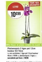 le pot  10€99  foire aux orchidees  phalaenopsis 2 tiges pot 12cm hauteur 50/70cm  ou mix orchidées 1 tige pot 12cm hauteur 41cm à 999 ou phalaenopsis 2 tiges succulente pot 5cm à 19€99 