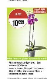 LE POT  10€99  FOIRE AUX ORCHIDEES  Phalaenopsis 2 tiges pot 12cm hauteur 50/70cm  ou mix orchidées 1 tige pot 12cm hauteur 41cm à 999 ou phalaenopsis 2 tiges succulente pot 5cm à 19€99 