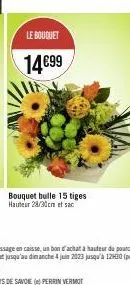 le bouquet  14€99  bouquet bulle 15 tiges hauteur 28/30cm et sac 