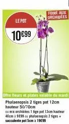 le pot  10€99  foire aux orchidees  phalaenopsis 2 tiges pot 12cm hauteur 50/70cm  ou mix orchidées 1 tige pot 12cm hauteur 41cm à 999 ou phalaenopsis 2 tiges succulente pot 5cm à 19€99 