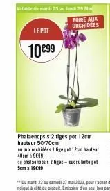 le pot  10€99  valable di mardi 23 au lundi 29 ma  foire aux  orchidées  phalaenopsis 2 tiges pot 12cm hauteur 50/70cm  ou mix orchidées 1 tige got 12cm hauteur 40cm à 9€99  au phalaenopsis 2 liges + 