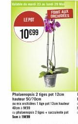 LE POT  10€99  Valable di mardi 23 au lundi 29 Ma  FOIRE AUX  ORCHIDÉES  Phalaenopsis 2 tiges pot 12cm hauteur 50/70cm  ou mix orchidées 1 tige got 12cm hauteur 40cm à 9€99  au phalaenopsis 2 liges + 