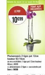 le pot  10€99  valable di mardi 23 au lundi 29 ma  foire aux  orchidées  phalaenopsis 2 tiges pot 12cm hauteur 50/70cm  ou mix orchidées 1 tige got 12cm hauteur 40cm à 9€99  au phalaenopsis 2 liges + 