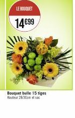 LE BOUQUET  14€99  Bouquet bulle 15 tiges Hauteur 28/30cm et sac 