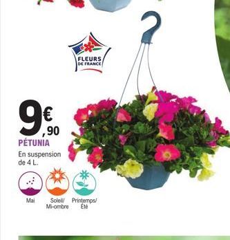 ,90 PÉTUNIA  En suspension de 4 L.  Mai  FLEURS  DE FRANCE  Soleil Printemps/ Mi-ombre Été  2  