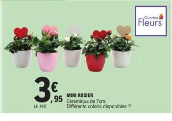 LE POT  €  MINI ROSIER  95 Céramique de 7cm.  Différents coloris disponibles.(3)  Quartier  Fleurs 