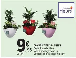 9€  le pot  composition 3 plantes céramique de 19cm  95 avec emballage fleuriste.  différent coloris disponibles.  quartier  fleurs 