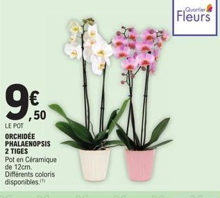 6  ,50  LE POT ORCHIDÉE PHALAENOPSIS 2 TIGES  Pot en Céramique de 12cm. Différents coloris disponibles. (¹)  Quartier  Fleurs 