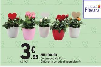 3€  LE POT  MINI ROSIER  ,95 Céramique de 7cm. 82 Différents coloris disponibles."  Quartier  Fleurs  V 