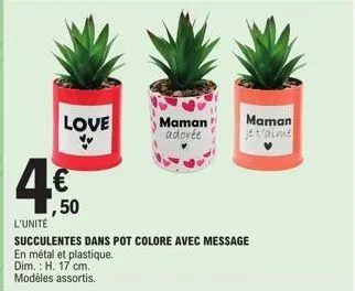 love  maman maman je t'aime  adorée  ,50  l'unité  succulentes dans pot colore avec message en métal et plastique.  dim.: h. 17 cm. modèles assortis. 