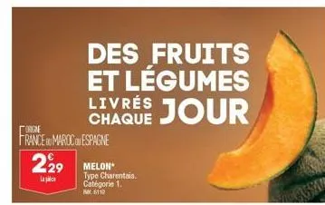 origine  france maroc espagne  229 melon  la  des fruits et légumes chaque jour 