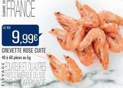 LE KG  9,99€  CREVETTE ROSE CUITE 40 à 60 pièces au kg  EQUATEUR ET/OU AUTRES PAYS D'AVERIQUE DU SLO ESELO ARRIVAGE 