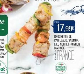 LE KO  17,99€  BROCHETTE DE CABILLAUD, SAUMON, LIEU NOIR ET POIVRON MARINEE  FRANCE  GENA  PRÉPARÉ PERSSOVERS  - 