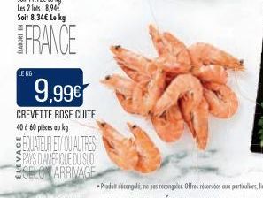 LE KG  9,99€  CREVETTE ROSE CUITE 40 à 60 pièces au kg  EQUATEUR ET/OU AUTRES PAYS D'AVERIQUE DU SLO ESELO ARRIVAGE 