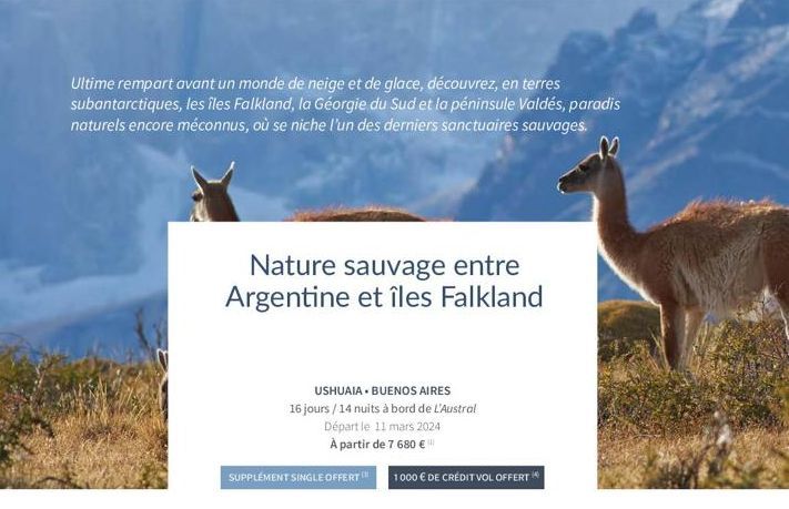 Ultime rempart avant un monde de neige et de glace, découvrez, en terres subantarctiques, les îles Falkland, la Géorgie du Sud et la péninsule Valdés, paradis naturels encore méconnus, où se niche l'u