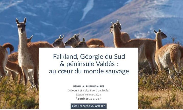 >  Falkland, Géorgie du Sud & péninsule Valdés: au cœur du monde sauvage  USHUAIA. BUENOS AIRES 20 jours / 18 nuits à bord du Boréal  Départ le 6 mars 2024 À partir de 10 270 €  1500 € DE CRÉDIT VOL O