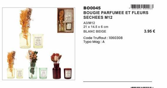 HA  B00045  DORUAN S22265  BOUGIE PARFUMEE ET FLEURS  SECHEES M12  A3/M12  21 x 14.5 x 6 cm  BLANC BEIGE  Code Truffaut: 1060308 Typo Mag: A  3.95 € 