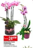 Plantes à fleurs offre à 24,99€ sur Cora