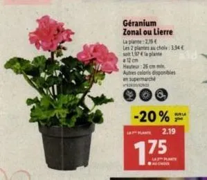 géranium zonal ou lierre  la plante:2.39 €  les 2 plantes au chols: 3,94 €  soit 197 € la plante  12 cm  hauteur: 26 cm min autres coloris disponibles en supermarché  -20%  la plante  furla  2.19  775