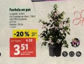 fuchsia en pot  la plante: 4,39 € les 2 plantes au choix: 7.90 € salt 3,95 € la plante  #17 cm hauteur : 41 cm  p  -20%  la plant 4.39  351  sub la  last plante che  j 