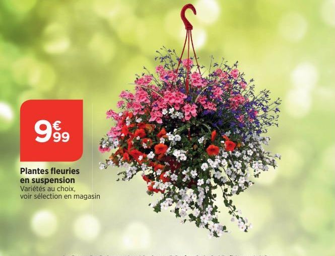 €  999  Plantes fleuries en suspension  Variétés au choix,  voir sélection en magasin  