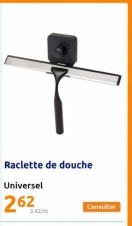 Raclette de douche  Universel  2.62/st  Consulter 